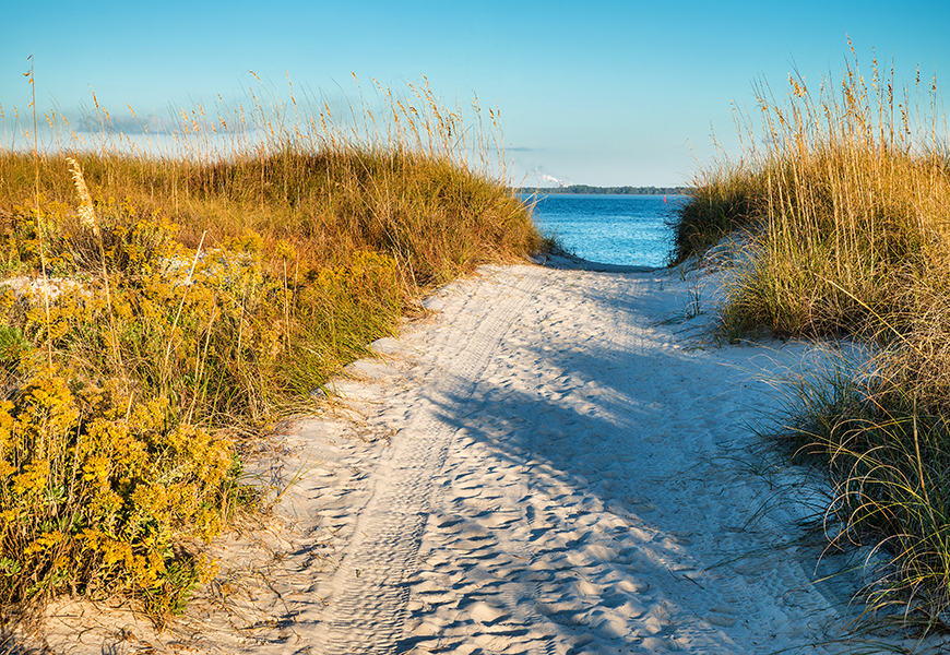 panama city beach florida dunes