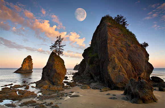 Shi Shi Beach, Washington
