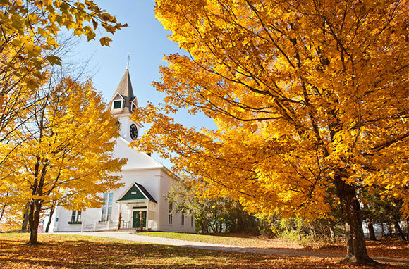 New England Foliage