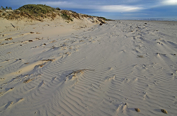 Malaquite Beach, Texas
