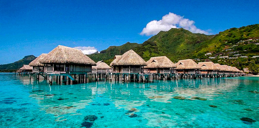overwater bungalows sofitel moorea la ora beach resort
