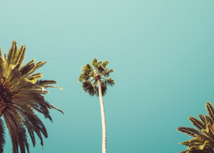 cheap hotels in los angeles