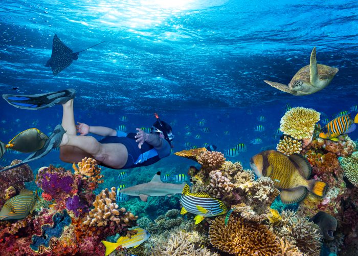 Wildlife Vacations: The 10 Ultimate Trips for Animal Lovers