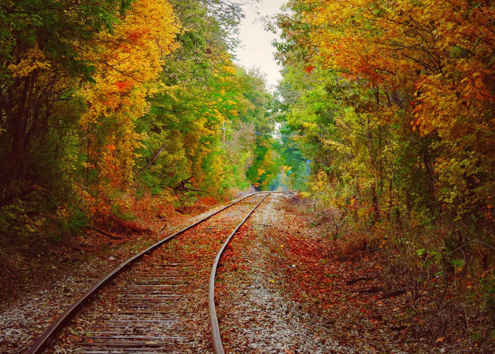 Here’s When Fall Foliage Colors Are Predicted to Peak in Your State