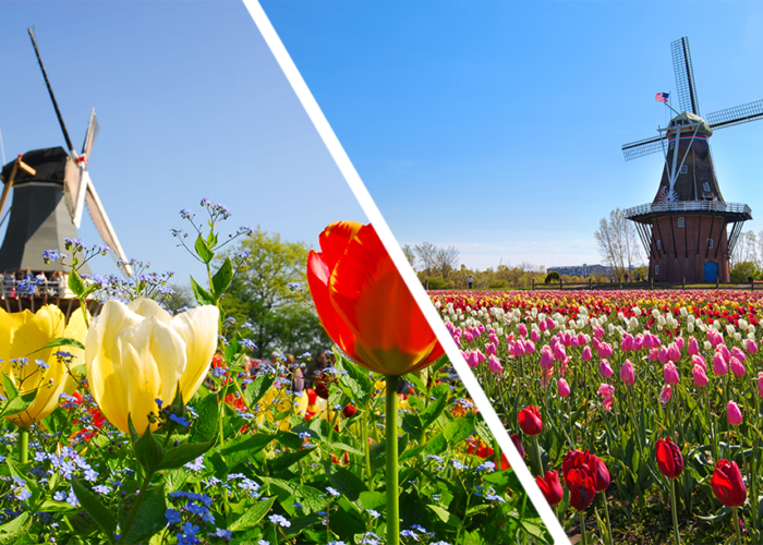 Here, Not There: 14 U.S. Destinations That Feel Like Europe