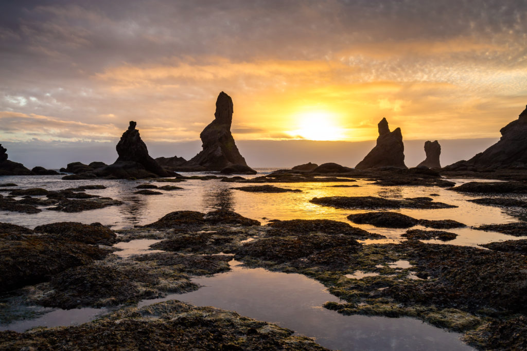 Shi Shi Beach, Washington