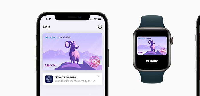 Three phones showing Apple Wallet's new digital license functionality