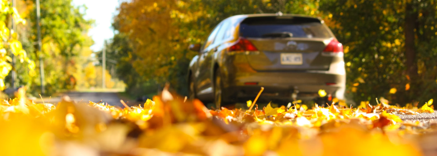 Car driving down autumn street